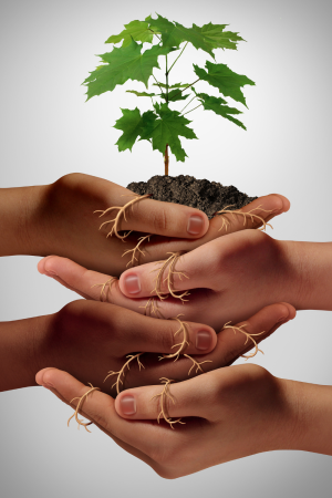 community ibclc allattamento community ibclc allattamento